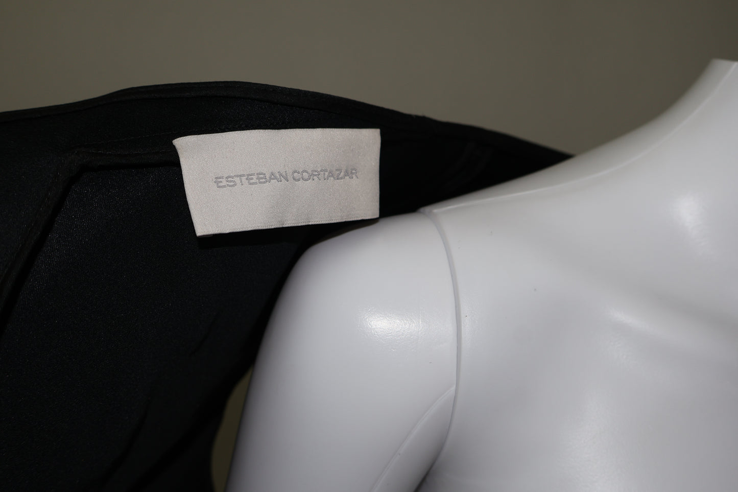 Esteban cortazar shaw