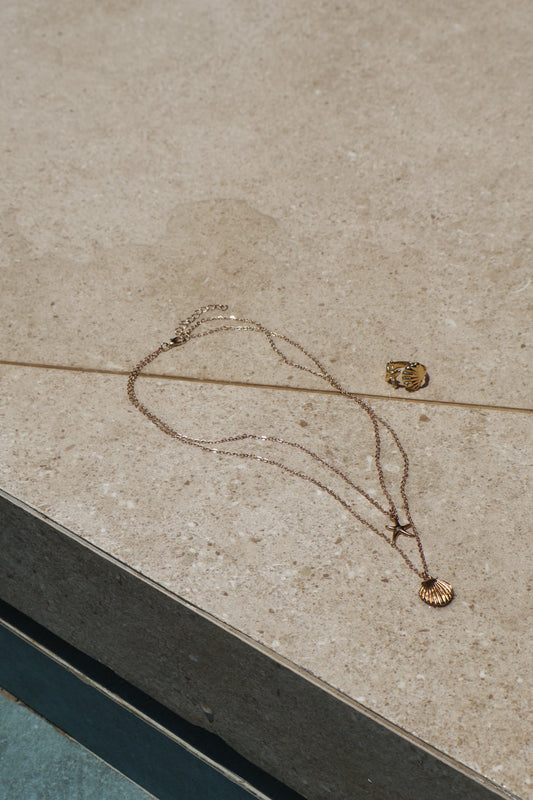 Chelley necklace & ring set